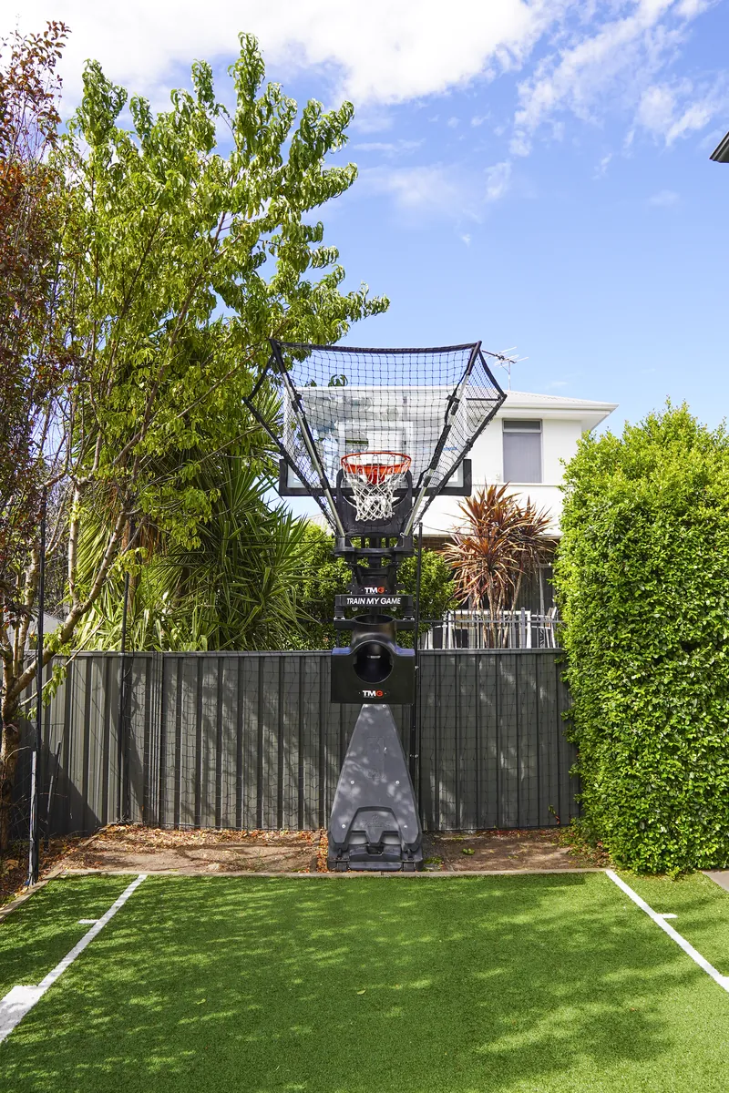TMG Assist installed on a backyard basketball ring